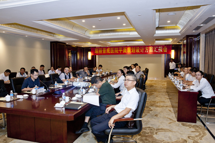 瑞丽景成医院平面规划设计方案汇报会