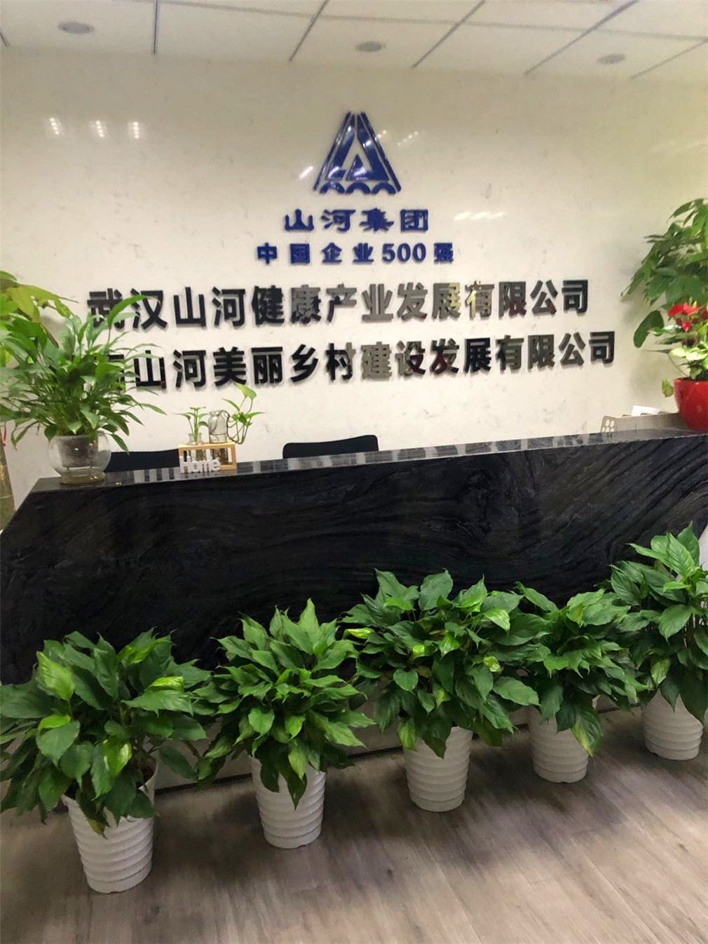 医博在路上|湖南汉寿普安医院项目现场考察